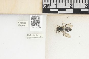 Media type: image;   Entomology 774173 Aspect: Labels